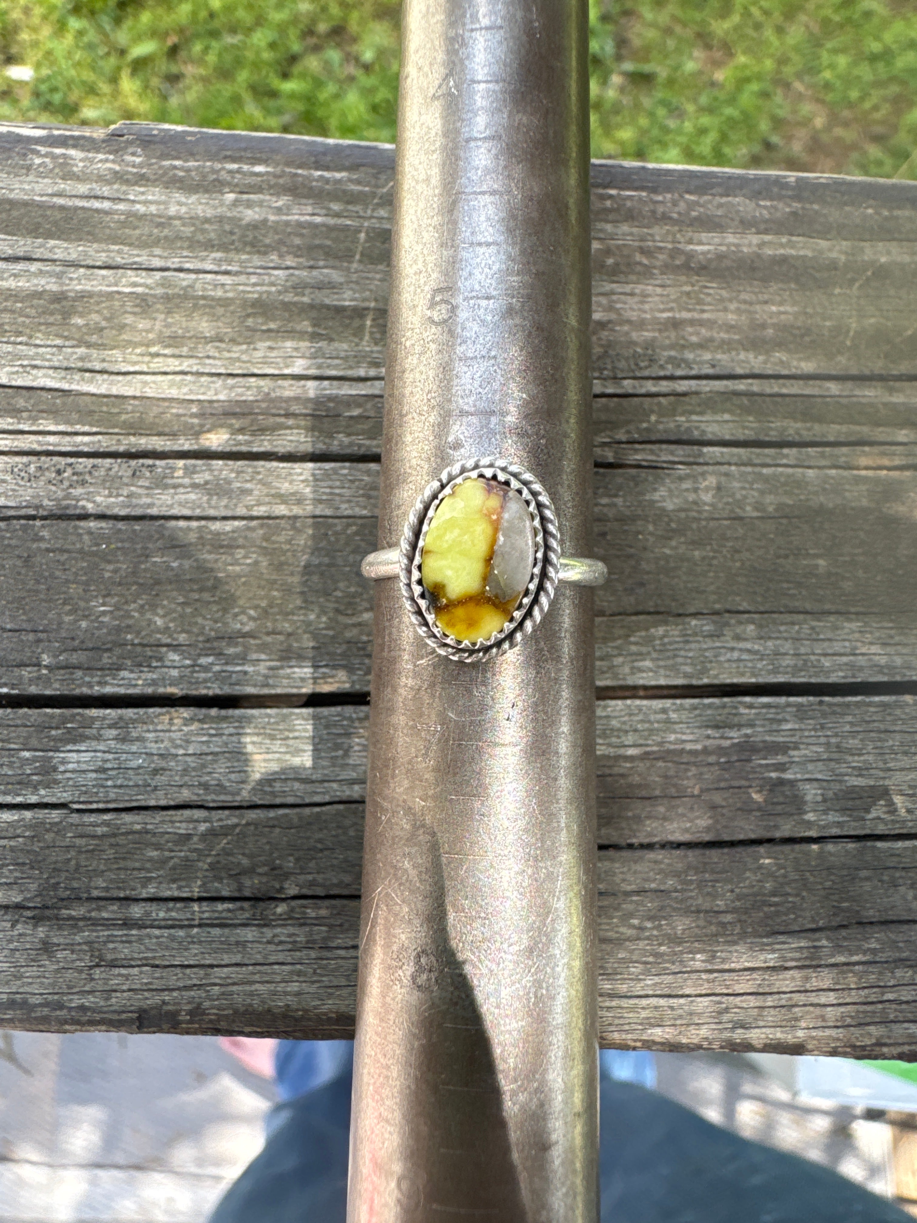 Palomino ring